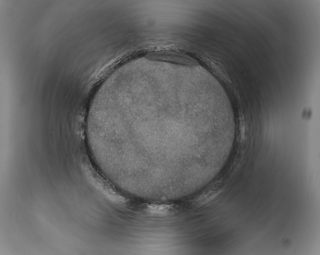 X0000114610450200911171039