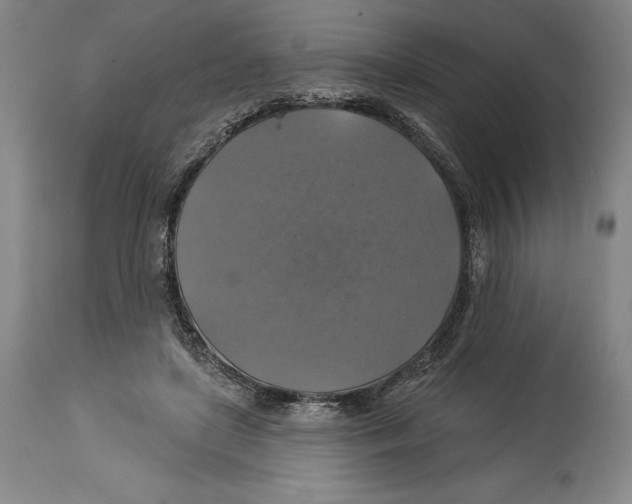 X0000114610451200911171039