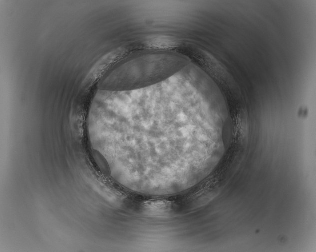 X0000114610452200911171039