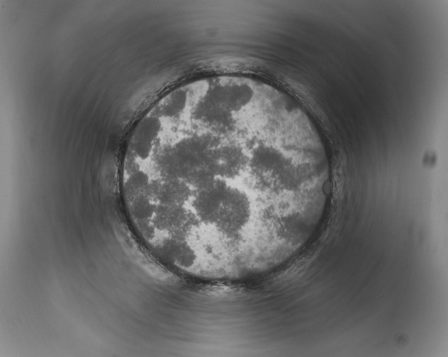 X0000114610453200911171039