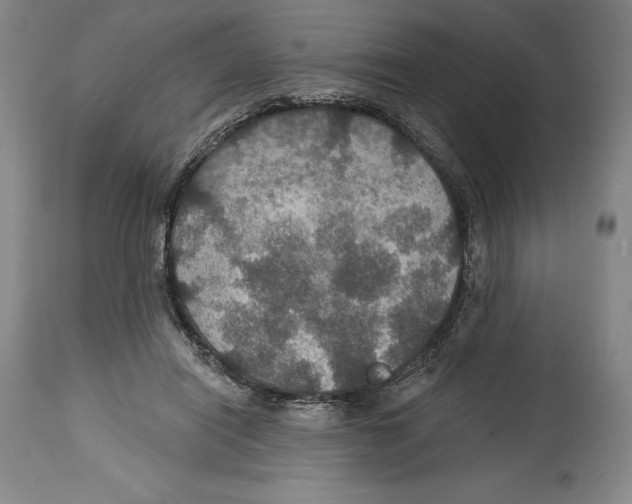 X0000114610454200911171039