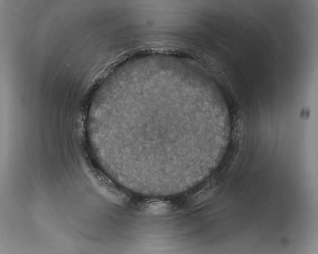 X0000114610456200911171039