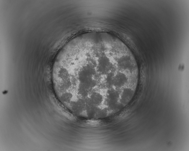 X0000114610457200911171039