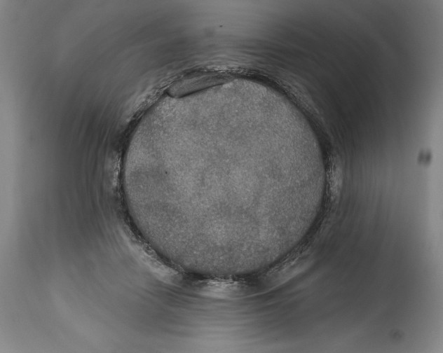 X0000114610458200911171039