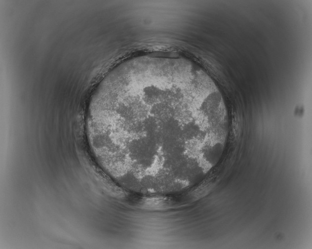 X0000114610461200911171039