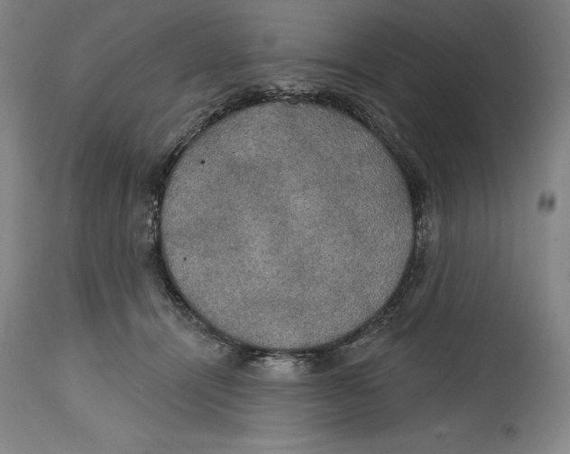 X0000114610464200911171039