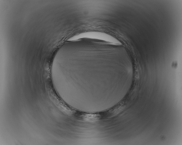 X0000114610465200911171039