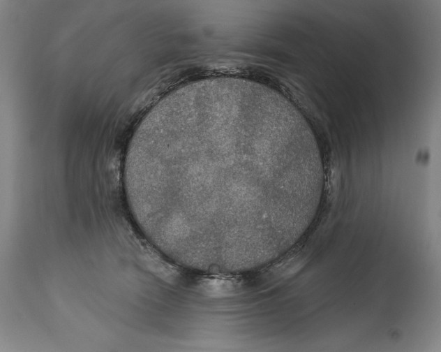 X0000114610466200911171039