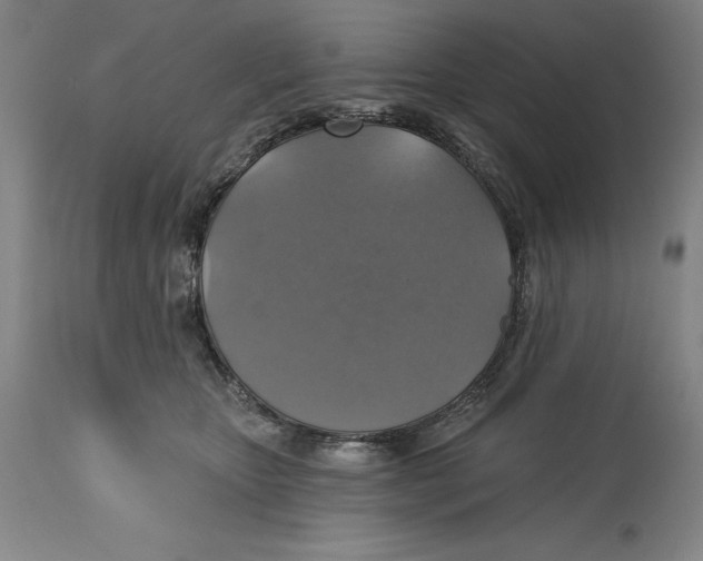 X0000114610467200911171039