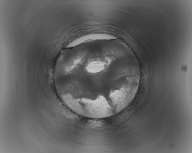 X0000114610469200911171039