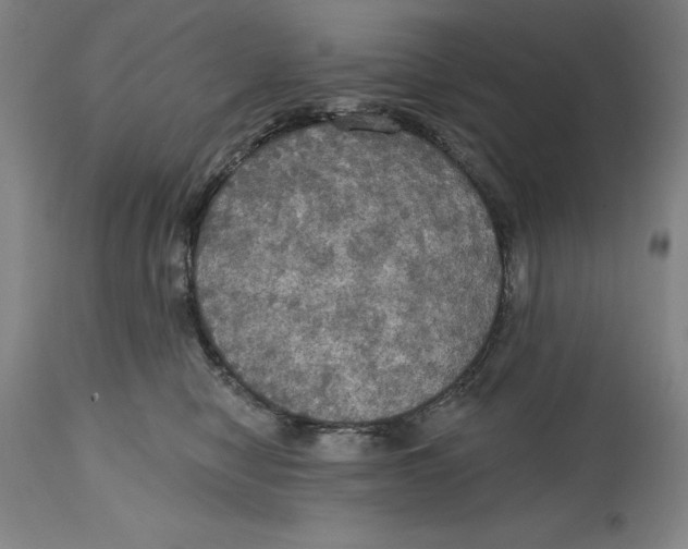 X0000114610470200911171039