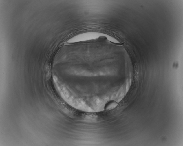 X0000114610471200911171039