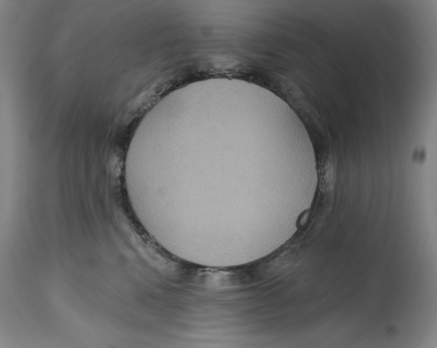 X0000114610472200911171039