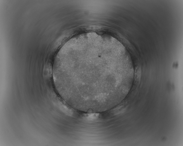 X0000114610474200911171039