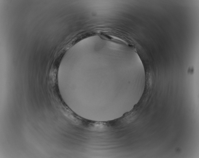 X0000114610475200911171039