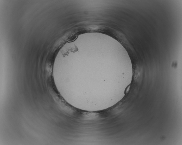 X0000114610476200911171039