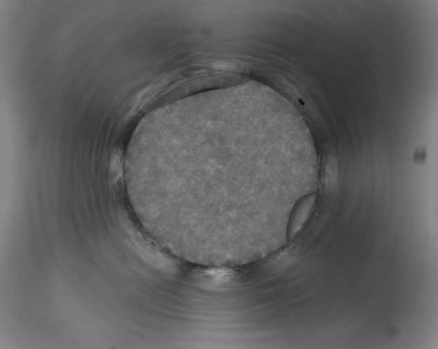 X0000114610478200911171039