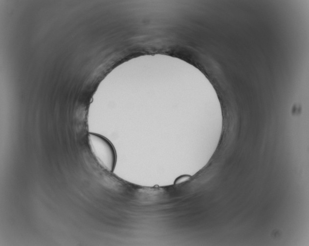 X0000114610480200911171039