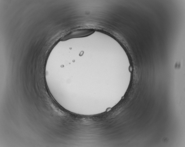 X0000114610481200911171038