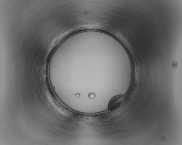 X0000114610486200911171038