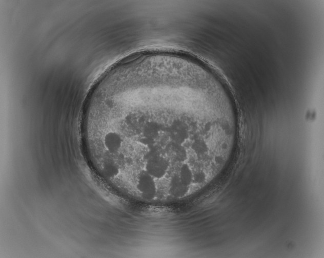 X0000114610487200911171038