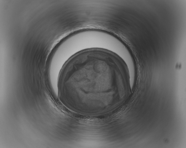 X0000114610488200911171038