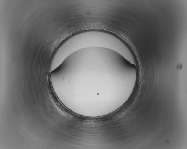 X0000114610489200911171038