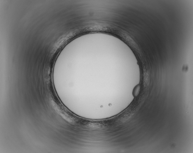 X0000114610490200911171038