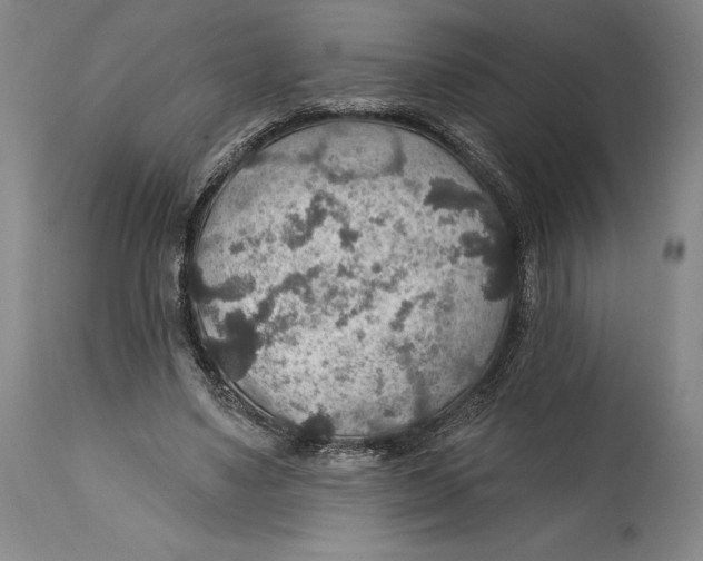 X0000114610491200911171038