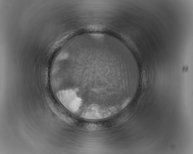 X0000114610494200911171038