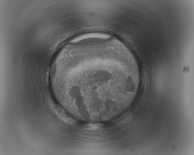 X0000114610495200911171038