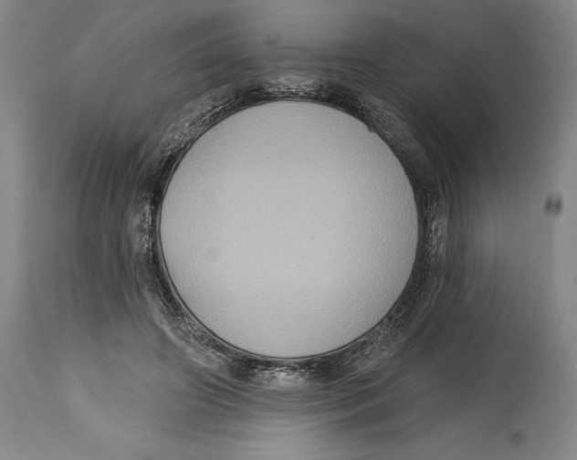 X0000114610498200911171038