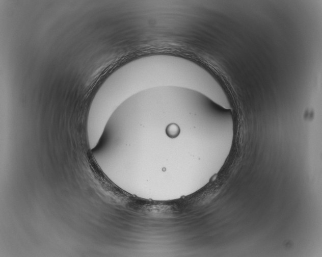 X0000114610501200911171038