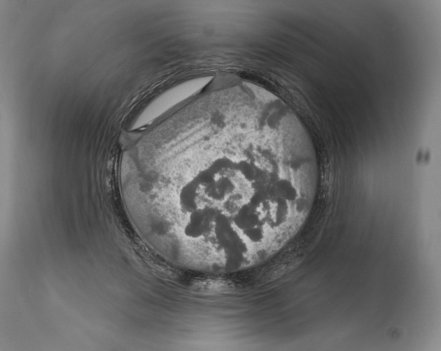 X0000114610503200911171038