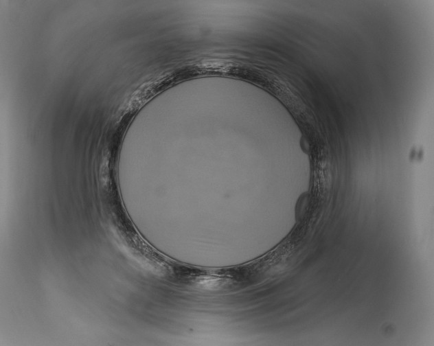 X0000114610504200911171038