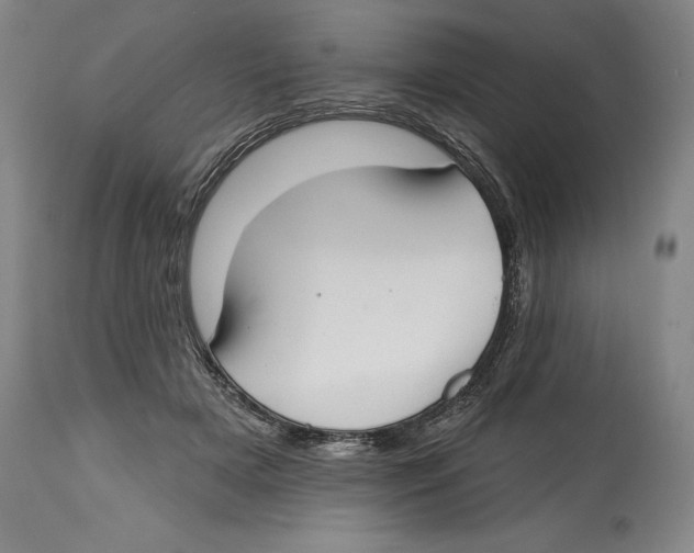 X0000114610505200911171038