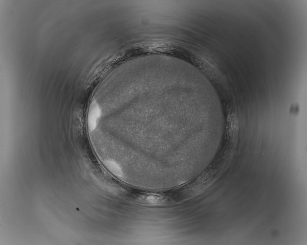 X0000114610506200911171038