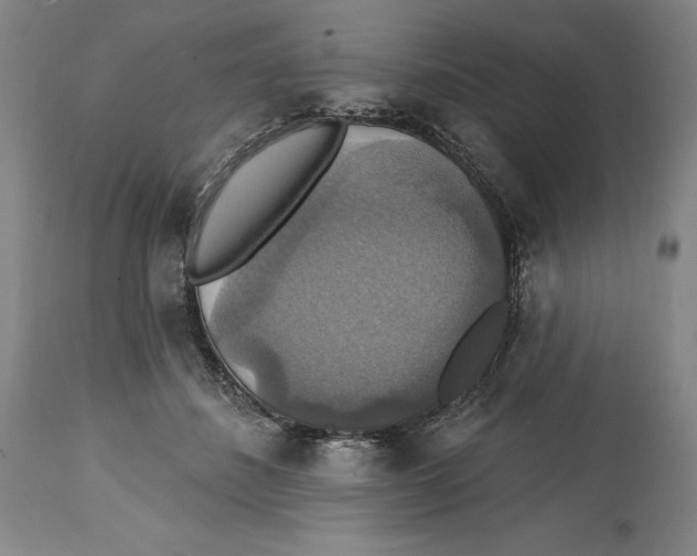 X0000114610508200911171038