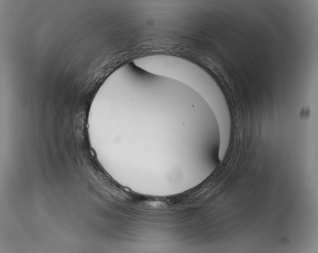 X0000114610509200911171038