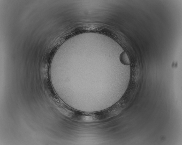 X0000114610510200911171038