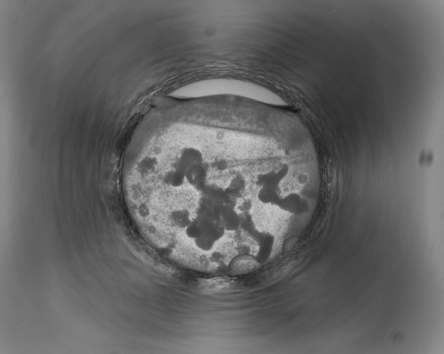 X0000114610511200911171038