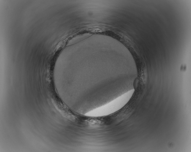 X0000114610512200911171038