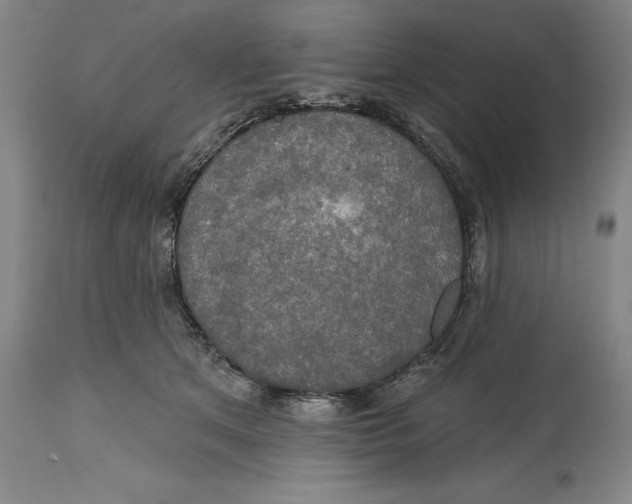 X0000114610513200911171038