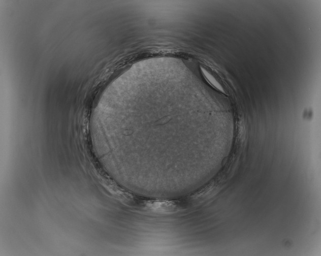 X0000114610517200911171038