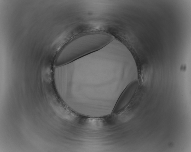 X0000114610520200911171038