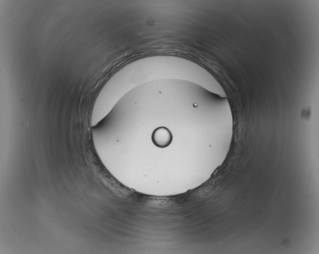 X0000114610521200911171038