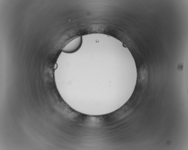 X0000114610522200911171038