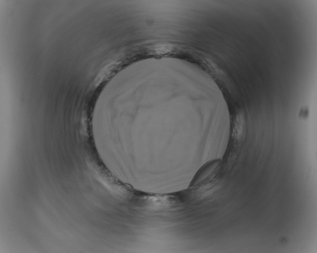 X0000114610524200911171038