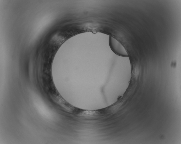 X0000114610526200911171038