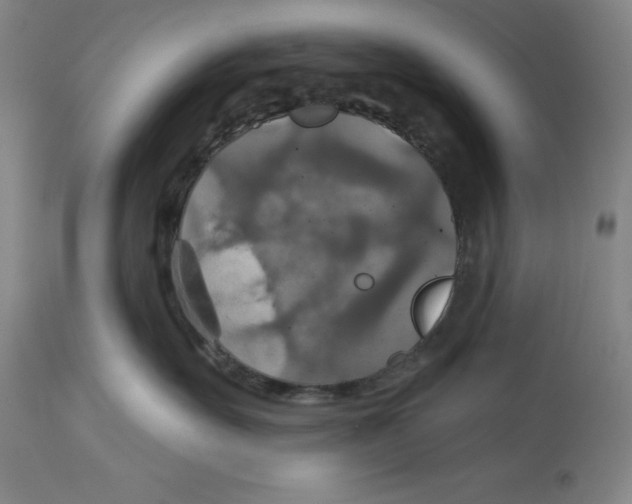 X0000114610527200911171038